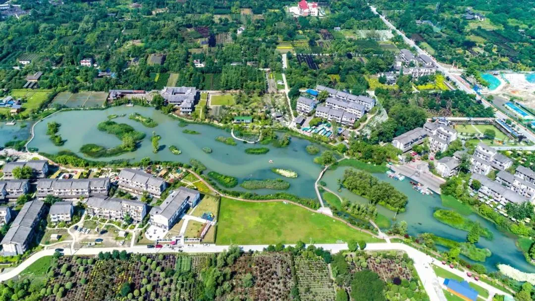 如何在短时间内显著提高篮球技能_2